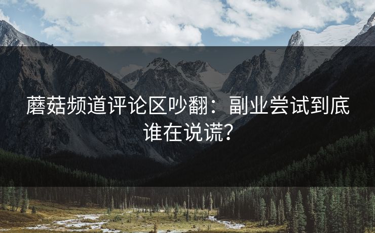 蘑菇频道评论区吵翻：副业尝试到底谁在说谎？