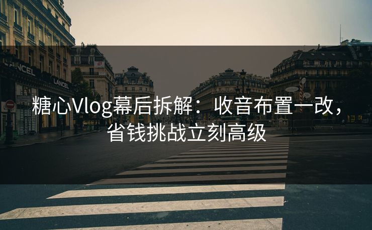糖心Vlog幕后拆解:收音布置一改,省钱挑战立刻高级 糖心Vlog幕后拆解:收音布置一改,省钱挑战立刻高级
