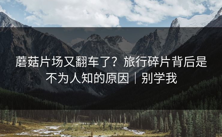 蘑菇片场又翻车了？旅行碎片背后是不为人知的原因｜别学我