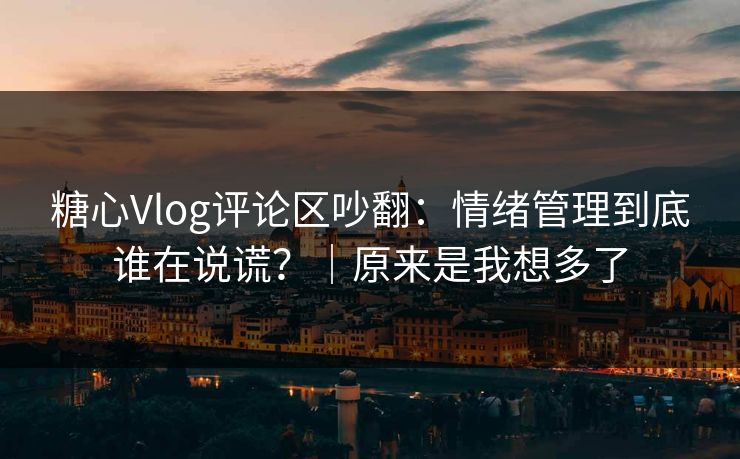 糖心Vlog评论区吵翻:情绪管理到底谁在说谎?|原来是我想多了 糖心Vlog评论区吵翻:情绪管理到底谁在说谎?|原来是我想多了